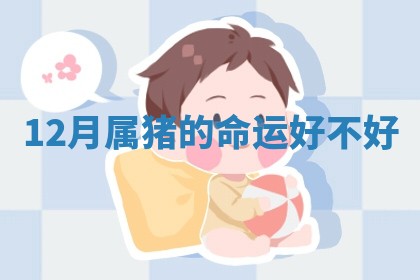 2025年11月05日各时辰财神位置吉位