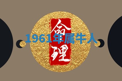 2025年11月06日打麻将财神朝向详解