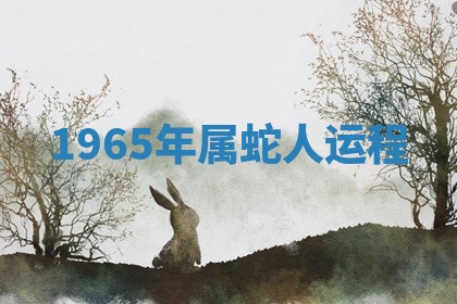 2025年11月05日各时辰财神位置吉位