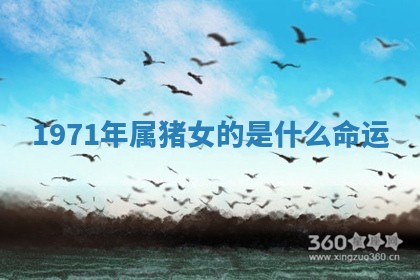 2025年11月06日打麻将财神朝向详解
