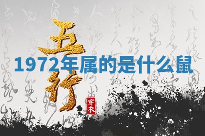 2025年11月05日各时辰财神位置吉位