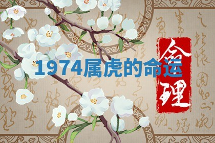 2025年11月05日各时辰财神位置吉位