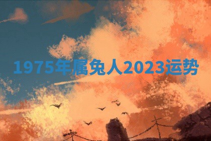 2025年11月05日各时辰财神位置吉位