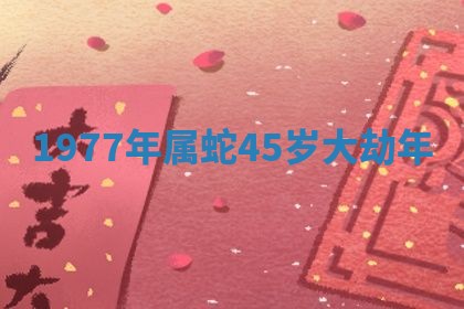 2025年11月06日打麻将财神朝向详解