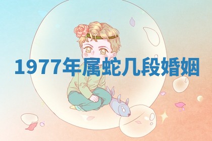 2025年11月08日打麻将财神在哪个方位,每日查询