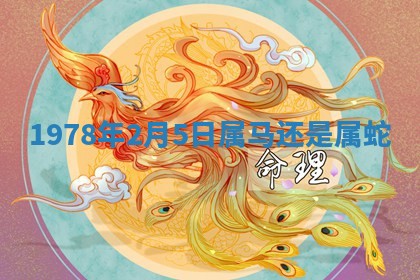 2025年11月06日打麻将财神朝向详解