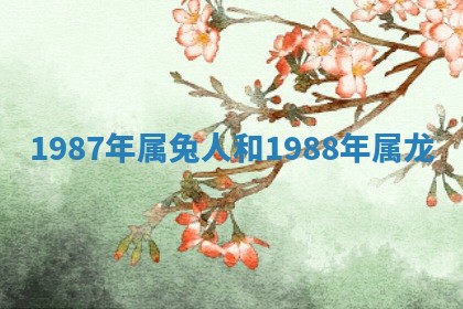 2025年11月06日打麻将财神朝向详解