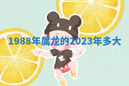 2025年11月05日各时辰财神位置吉位