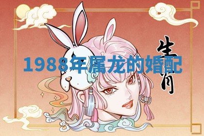 2025年11月09日今日财神方位,财神方位详解