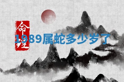 2025年11月08日打麻将财神在哪个方位,每日查询