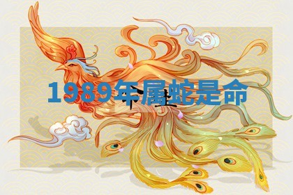 2025年11月06日打麻将财神朝向详解