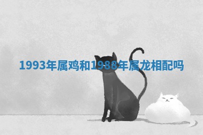 2025年11月09日今日财神方位,财神方位详解