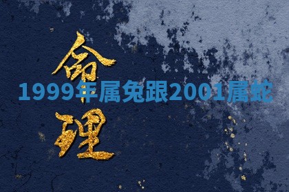2025年11月08日打麻将财神在哪个方位,每日查询