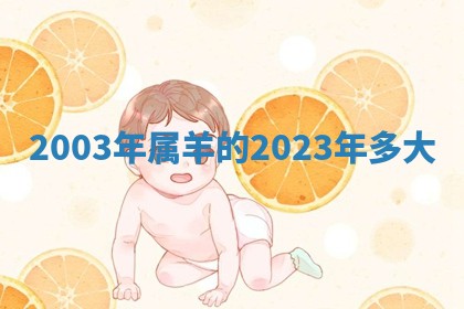 2025年11月06日打麻将财神朝向详解