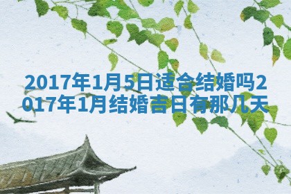 如何给2026年03月15日出生的赵姓女宝宝起个好名字？专业分析与建议