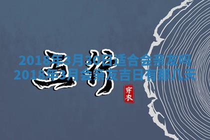如何给2026年03月15日出生的赵姓女宝宝起个好名字？专业分析与建议