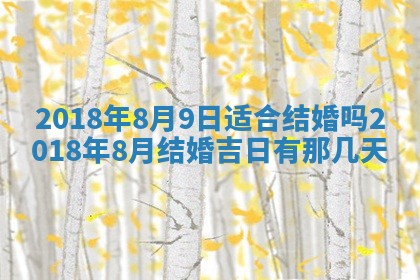 如何给2026年03月15日出生的赵姓女宝宝起个好名字？专业分析与建议