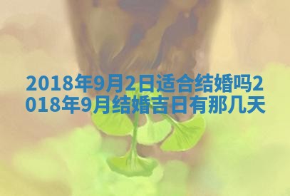 如何给2026年03月15日出生的赵姓女宝宝起个好名字？专业分析与建议