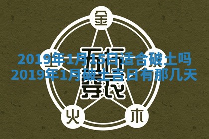 2026年02月19日萧姓女宝宝起名必读：八字喜忌用字详解