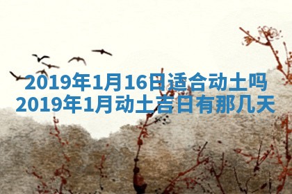 2026年02月19日萧姓女宝宝起名必读：八字喜忌用字详解