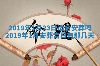 2026年02月19日萧姓女宝宝起名必读：八字喜忌用字详解