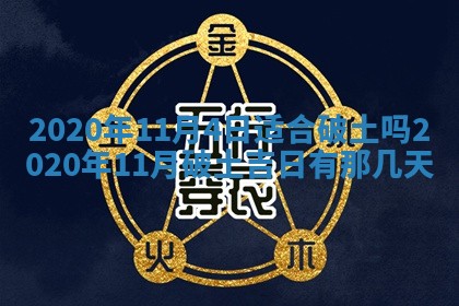 2026年02月19日萧姓女宝宝起名必读：八字喜忌用字详解