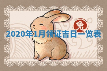 2026年02月27日生辰八字起名：杜姓女孩子取什么名字最合适