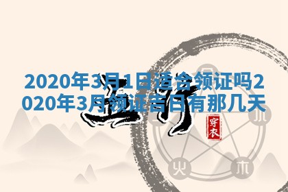 2026年02月19日萧姓女宝宝起名必读：八字喜忌用字详解