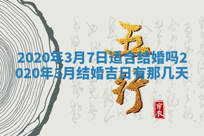 2026年02月19日萧姓女宝宝起名必读：八字喜忌用字详解