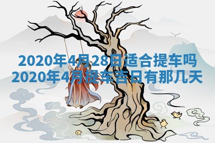 2026年02月19日萧姓女宝宝起名必读：八字喜忌用字详解