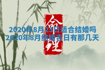 2026年02月19日萧姓女宝宝起名必读：八字喜忌用字详解