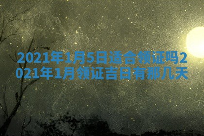 今日万年历2025年6月20日动土吉日,动土好日子查询