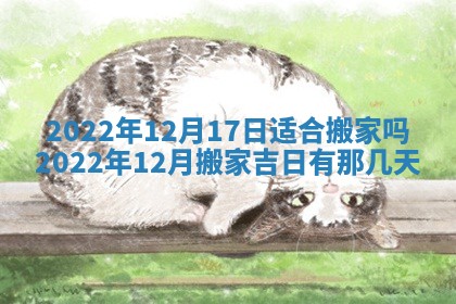 2025年11月19日财神吉位详解