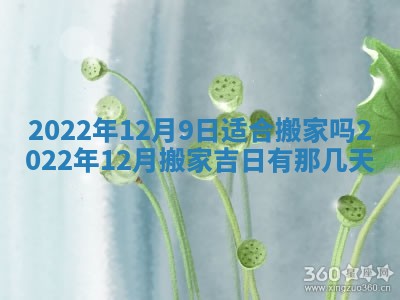 2025年11月19日财神吉位详解