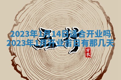 段姓2026年01月22日出生的男孩子取什么名字好？八字五行取名分析