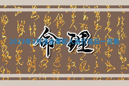 2025年11月19日财神吉位详解