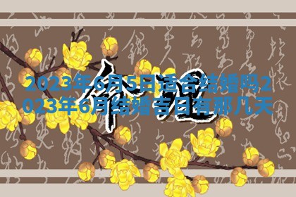 2025年11月18日各时辰财神吉位详细解析