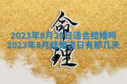 2025年11月18日各时辰财神吉位详细解析