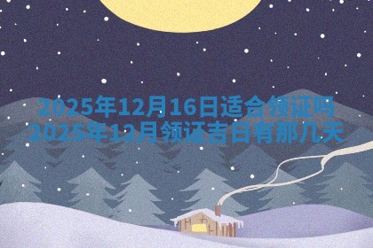 财神吉位查询 2025年11月14日
