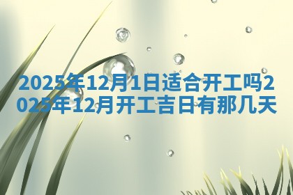 财神吉位查询 2025年11月14日