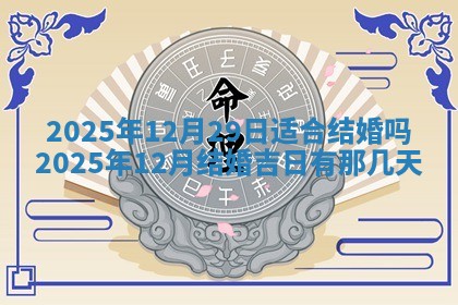 财神吉位查询 2025年11月14日