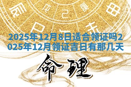 财神吉位查询 2025年11月14日