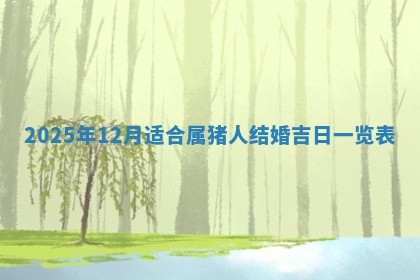 财神吉位查询 2025年11月14日