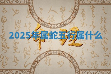 2025年11月05日各时辰财神位置吉位