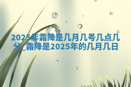 2025年11月08日打麻将财神在哪个方位,每日查询