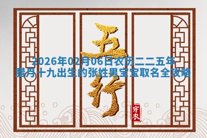 2026年02月06日农历二〇二五年腊月十九出生的张姓男宝宝取名全攻略