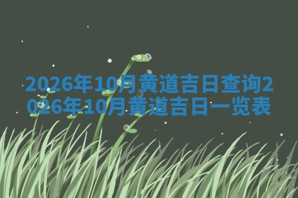 2025年11月06日打麻将财神朝向详解