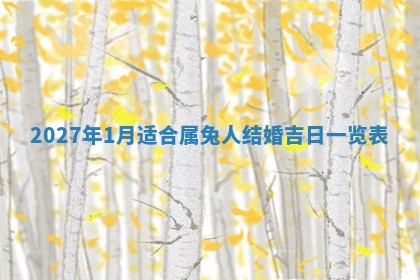 财神吉位查询 2025年11月14日