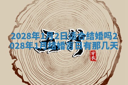 2026年03月07日出生武姓男宝宝如何取名？好听有寓意的名字精选