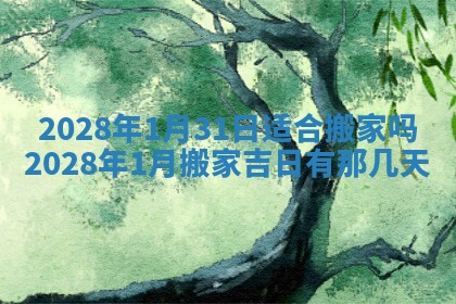2025年11月16日的打麻将财神在哪个方向,打牌朝向查询